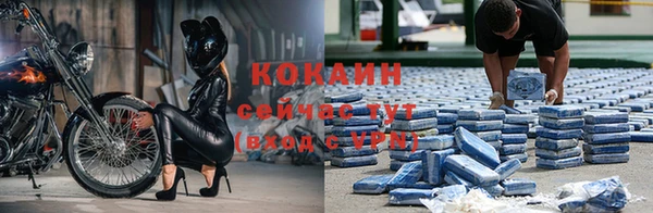 мяу мяу мука Беломорск